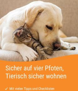Sicher auf vier Pfoten, Tierisch sicher wohnen - Mit vielen Tipps und Checklisten - Tierheim Berlin