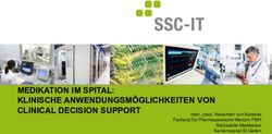 MEDIKATION IM SPITAL: KLINISCHE ANWENDUNGSM&Ouml;GLICHKEITEN VON CLINICAL DECISION SUPPORT - med. pract. Alexander von Kameke Facharzt f&uuml;r ...