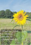 www.anzeigen. wittich.de - Gemeinde Greifenstein