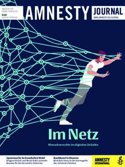 Im Netz - Amnesty International