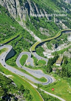 Strassen und Verkehr ASTRA 2015 - Zahlen und Fakten