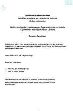 Nicht-invasive Subtypisierung des Pankreaskarzinoms mittels Algorithmen des maschinellen Lernens