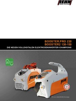 BOOSTER.PRO 230 BOOSTER2 130-150 - DIE NEUEN VOLLDIGITALEN ELEKTRODENINVERTER-CHAMPIONS - REHM ...