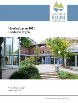 Haushaltsplan 2021 Landkreis Regen - Stand: 23.03.2021