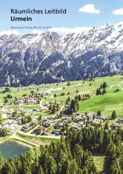 Räumliches Leitbild Urmein - Mitwirkung & Prüfung ARE | 30. Juli 2019