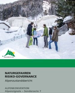 NATURGEFAHREN RISIKO-GOVERNANCE - Alpenzustandsbericht ALPENKONVENTION Alpensignale Sonderserie 7 - Alpine Convention