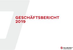 GESCHÄFTSBERICHT 2019 - Salzburg AG