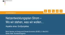 Netzentwicklungsplan Strom - Wo wir stehen, was wir wollen - Aspekte eines Gro&szlig;projektes Berlin Seminar on Energy and Climate Economics (B-SEC) ...