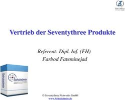Vertrieb der Seventythree Produkte - Referent: Dipl. Inf. (FH) Farbod Fateminejad