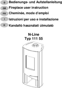N-Line Typ 111 55 Bedienungs- und Aufstellanleitung Fireplace user instruction Cheminée, mode d'emploi Istruzioni per uso e installazione Kandalló ...