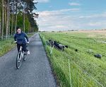 UVG startet E-Mobil-Ära - Per Elektrobus zum neuen Campingplatz "Sonnenkap" - Uckermärkische Verkehrsgesellschaft