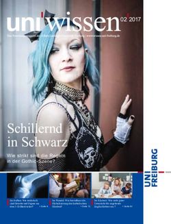 Schillernd in Schwarz - Presse- und &Ouml;ffentlichkeitsarbeit