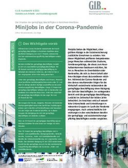 Minijobs in der Corona-Pandemie - GIB NRW