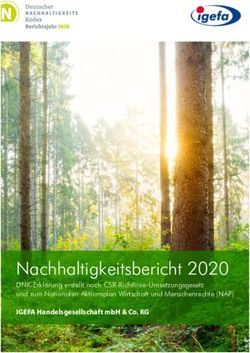 Nachhaltigkeitsbericht 2020 - IGEFA Handelsgesellschaft mbH & Co. KG DNK-Erklärung erstellt nach CSR-Richtlinie-Umsetzungsgesetz und zum ...