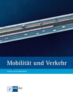 Mobilität und Verkehr - Leitlinien für die Verkehrspolitik - Rad.SH