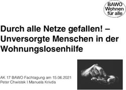 Durch alle Netze gefallen! - Unversorgte Menschen in der Wohnungslosenhilfe - AK 17 BAWO Fachtagung am 15.06.2021 Peter Chwistek I Manuela Krivda