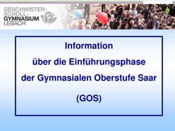 (GOS) Information &uuml;ber die Einf&uuml;hrungsphase der Gymnasialen Oberstufe Saar