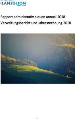 Rapport administrativ e quen annual 2018 Verwaltungsbericht und Jahresrechnung 2018 - Ilanz/Glion