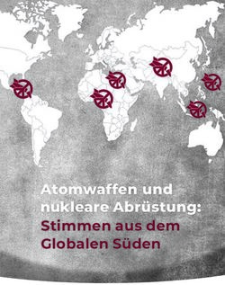 Stimmen aus dem Globalen S&uuml;den - Atomwaffen und nukleare Abr&uuml;stung: ICAN Deutschland