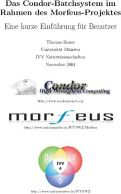 Das Condor-Batchsystem im Rahmen des Morfeus-Projektes