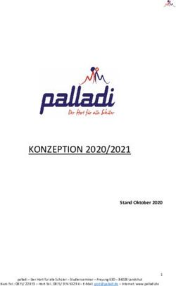 KONZEPTION 2020/2021 Stand Oktober 2020 - Hort palladi