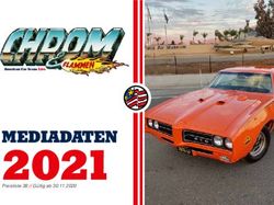 MEDIADATEN - Chrom & Flammen