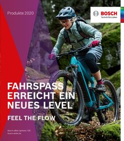 FAHRSPASS ERREICHT EIN NEUES LEVEL - FEEL THE FLOW - Produkte 2020 - Bosch eBike Systems