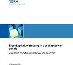 Eigenkapitalverzinsung in der Wasserwirt-schaft - Gutachten im Auftrag des BDEW und des VKU