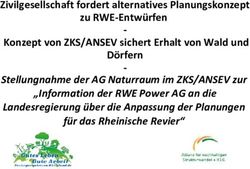 Zivilgesellschaft fordert alternatives Planungskonzept zu RWE-Entw&uuml;rfen Konzept von ZKS/ANSEV sichert Erhalt von Wald und D&ouml;rfern