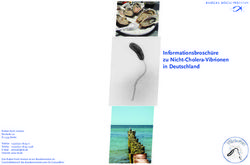 Informationsbroschüre zu Nicht-Cholera-Vibrionen in Deutschland
