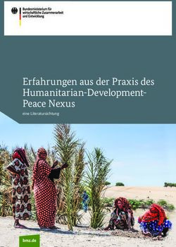 Erfahrungen aus der Praxis des Humanitarian-Development-Peace Nexus - eine Literatursichtung