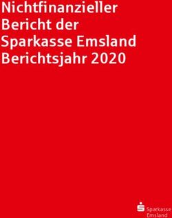Nichtfinanzieller Bericht der Sparkasse Emsland Berichtsjahr 2020 - Sparkasse
