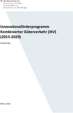 Innovationsf&ouml;rderprogramm Kombinierter G&uuml;terverkehr (IKV) (2015-2020) - Evaluierung - Wien, 2020