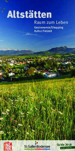 Altst&auml;tten Raum zum Leben - Gastronomie/Shopping Kultur/Freizeit