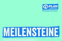 Meilensteine Plan International Deutschland e. V - AG Material