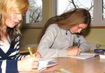 Nationale Strategie zur Verhinderung fr&uuml;hzeitigen (Aus-)Bildungsabbruchs - &Ouml;sterreich - ILO