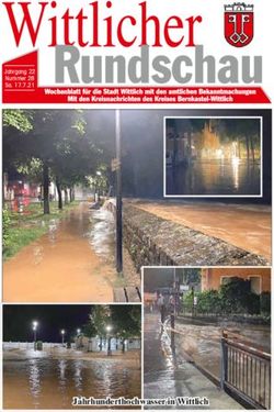 Jahrhunderthochwasser in Wittlich - Jahrgang 22 Nummer 28 Sa. 17.7.21 - Stadt Wittlich