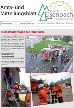 Amts- und Mitteilungsblatt - Eisenbach (Hochschwarzwald)