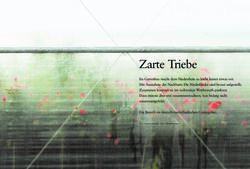 Zarte Triebe - Christian Sywottek