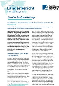 Genfer Gro&szlig;wetterlage - Multilateraler Dialog Genf