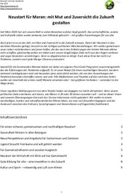 Neustart f&uuml;r Meran: mit Mut und Zuversicht die Zukun6 gestalten - R&ouml;sch Gr&uuml;ne Verdi