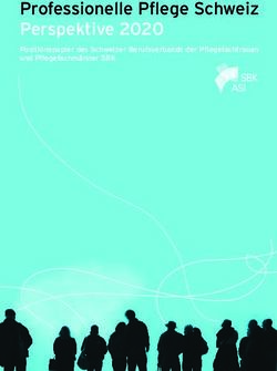 Professionelle Pflege Schweiz Perspektive 2020 - Positionspapier des Schweizer Berufsverbands der Pflegefachfrauen und Pflegefachmänner SBK