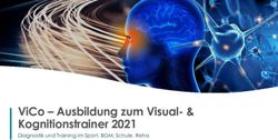 VICO - AUSBILDUNG ZUM VISUAL- & KOGNITIONSTRAINER 2021 - DIAGNOSTIK UND TRAINING IM SPORT, BGM, SCHULE, REHA - DYNAMIC EYE