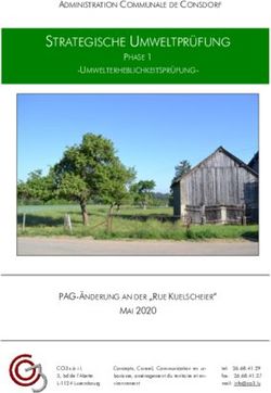 STRATEGISCHE UMWELTPR&Uuml;FUNG - PHASE 1 - Consdorf