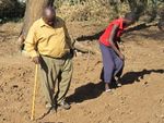 Eindrücke vom Moringa-Projekt zur Bekämpfung von Hunger & Armut - Besuch in Lokichoggio, Kenya, April 2014