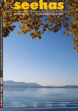 Seehas MAGAZIN BODENSEEREGION