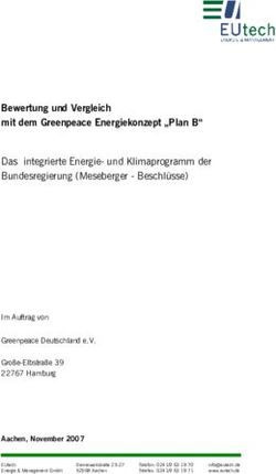 Bewertung und Vergleich mit dem Greenpeace Energiekonzept "Plan B"
