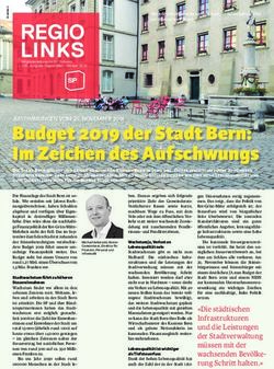 Budget 2019 der Stadt Bern: Im Zeichen des Aufschwungs - SP Schweiz