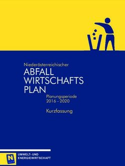 ABFALL WIRTSCHAFTS PLAN - Kurzfassung - pulswerk gmbh