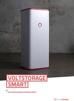 VOLTSTORAGE SMART WEITERF&Uuml;HRENDE INFORMATIONEN